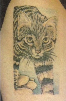 Modele De Tatouage Chat